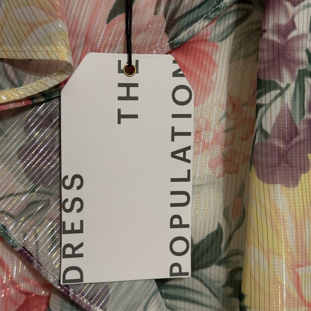 NWT DRESS THE POPULATION Josefina Dress Floral
Ruffle Detail Gown in Ivory Multi - Picture 6 of 16
